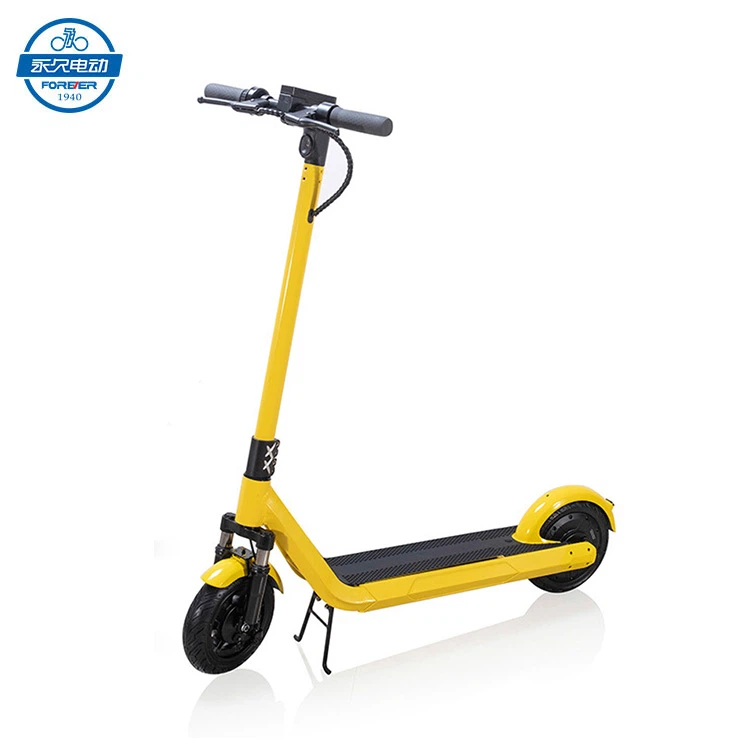 Small Electric Scooter